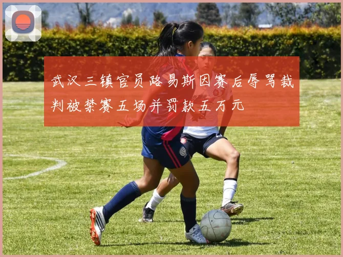 武汉三镇官员路易斯因赛后辱骂裁判被禁赛五场并罚款五万元